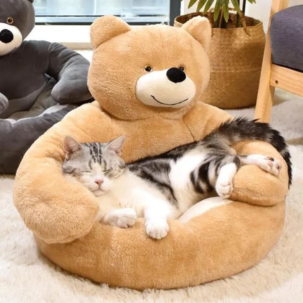 🐶 55% OFF 🐱 Teddy bear pillow cat and dog beds