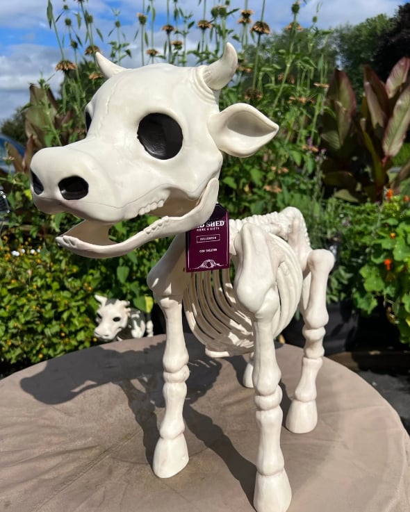 Halloween Sale -Cow & Horse Skeleton Halloween Decorative Prop