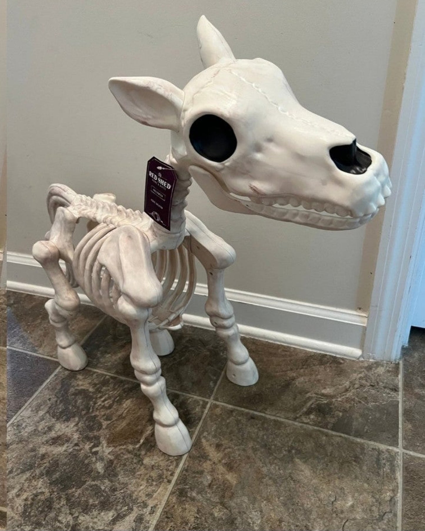 Halloween Sale -Cow & Horse Skeleton Halloween Decorative Prop