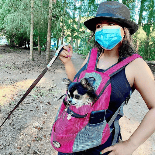 🔥New Year Sale 49% OFF🐕Lovely Dog Carrier Backpack🎁