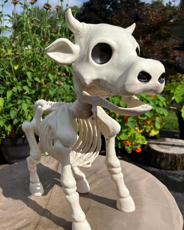 Halloween Sale -Cow & Horse Skeleton Halloween Decorative Prop