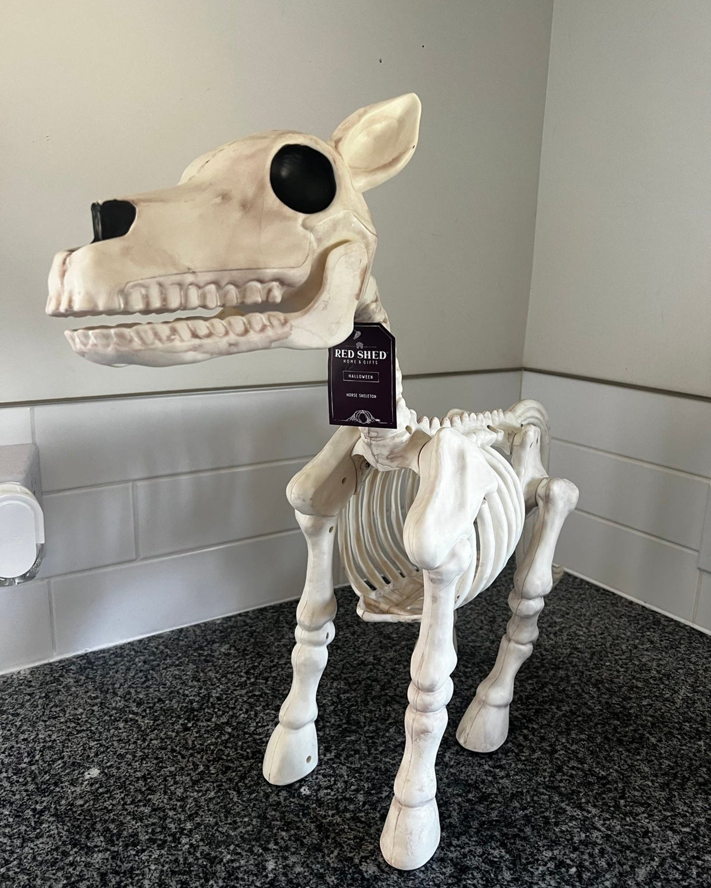 Halloween Sale -Cow & Horse Skeleton Halloween Decorative Prop