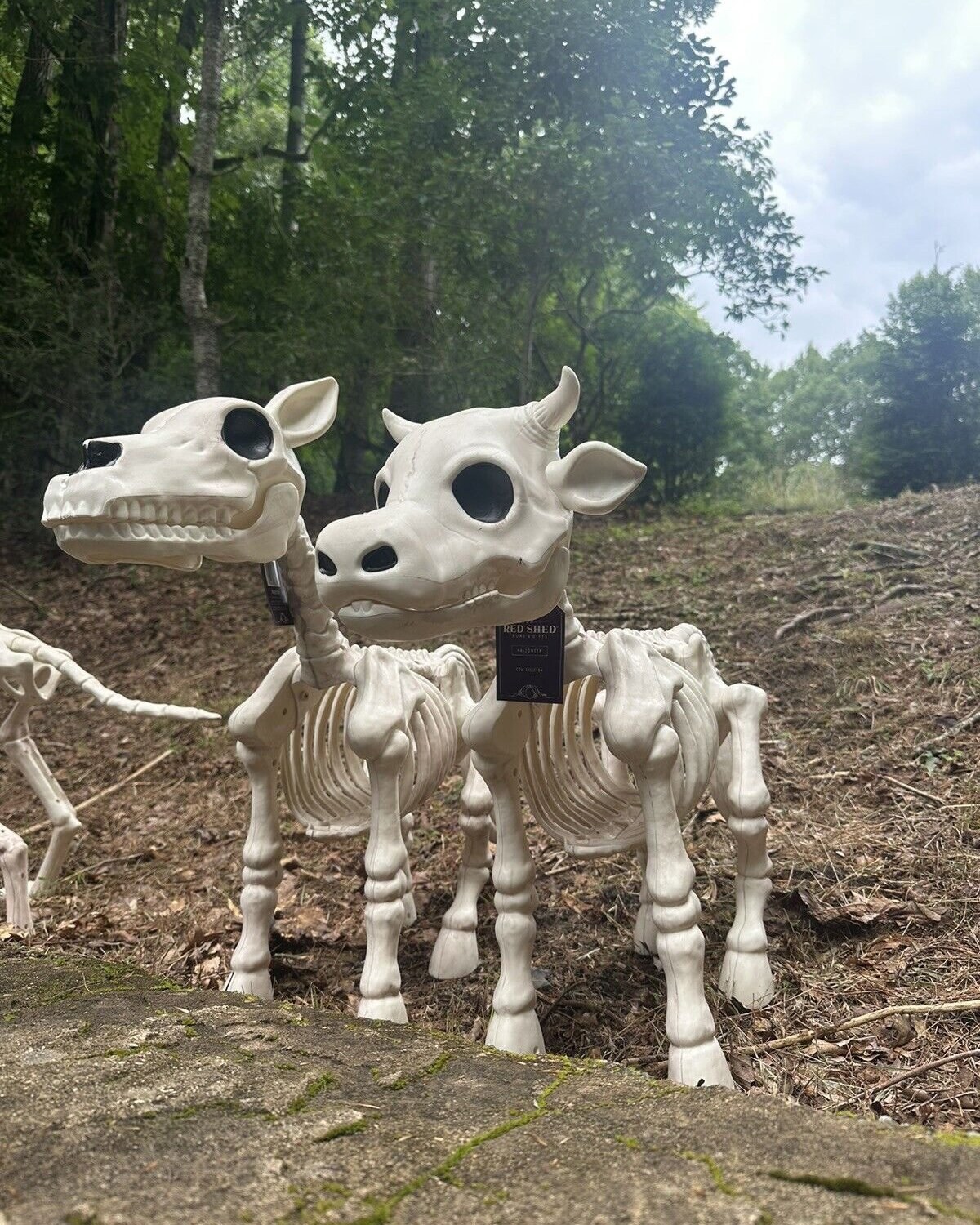 Halloween Sale -Cow & Horse Skeleton Halloween Decorative Prop