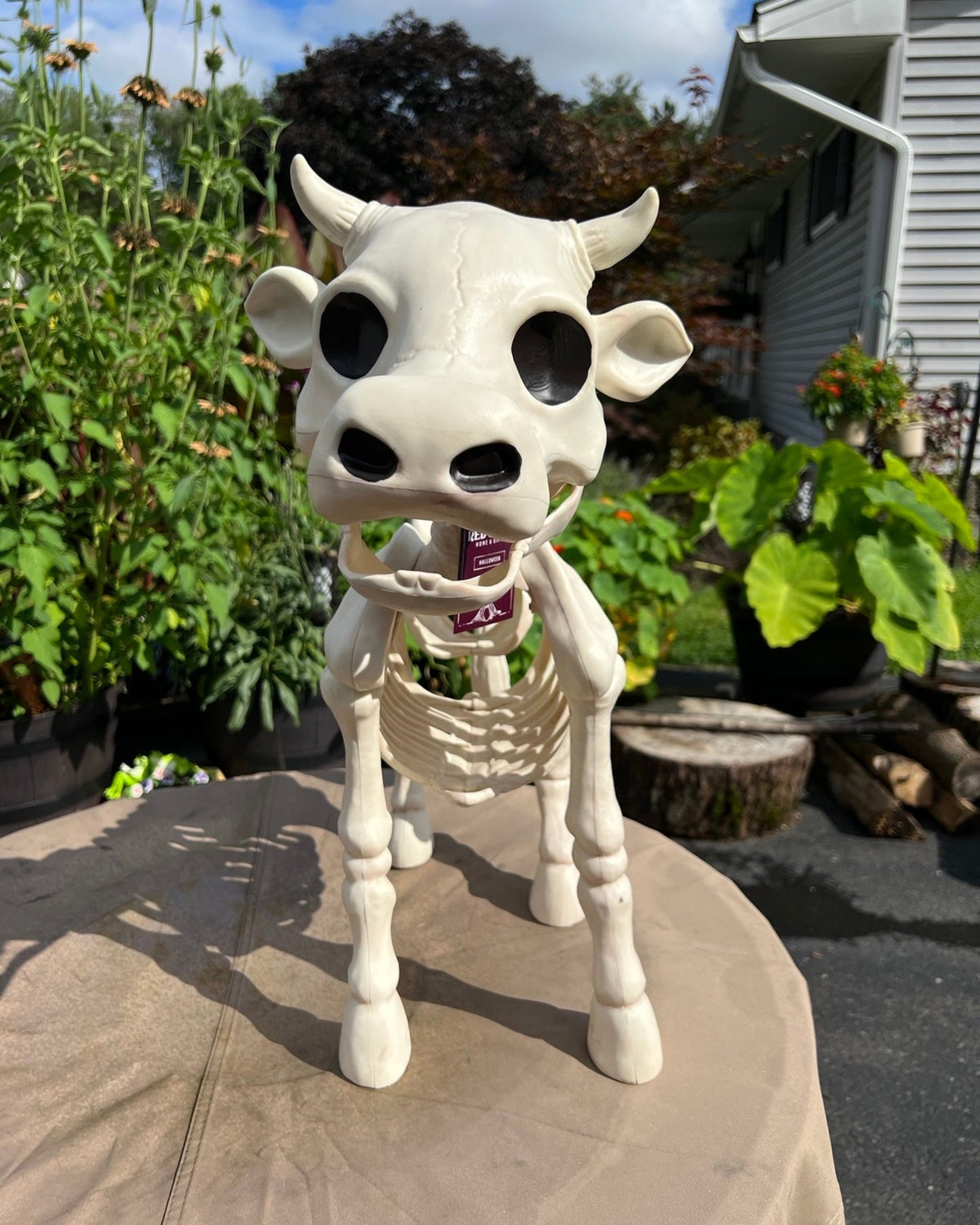 Halloween Sale -Cow & Horse Skeleton Halloween Decorative Prop