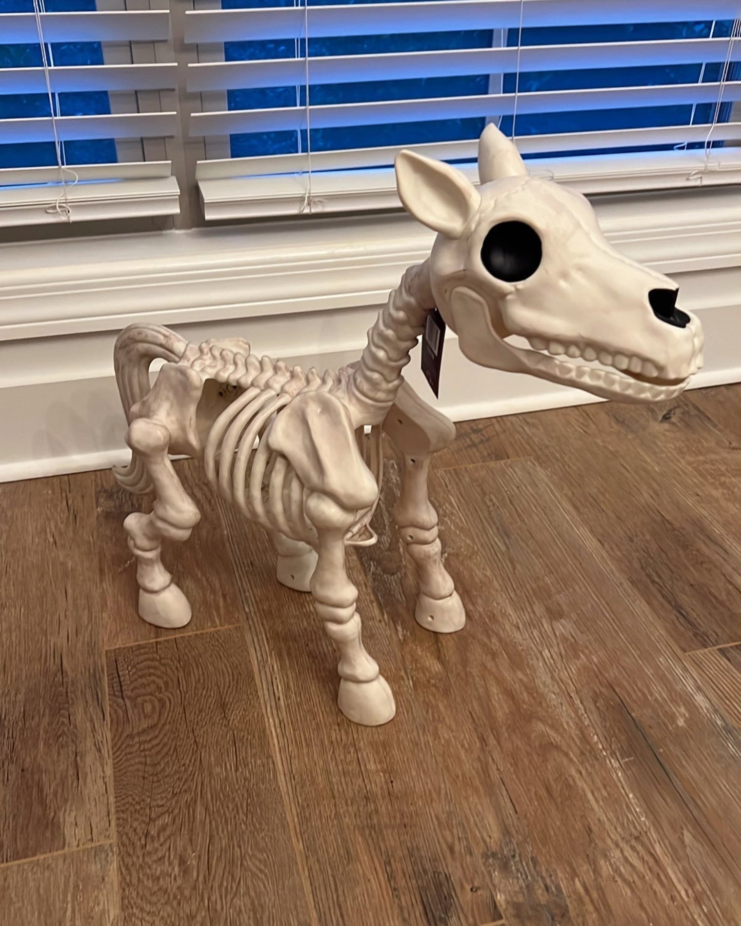 Halloween Sale -Cow & Horse Skeleton Halloween Decorative Prop