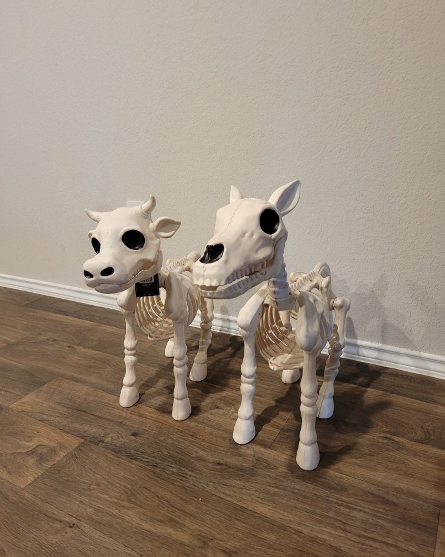 Halloween Sale -Cow & Horse Skeleton Halloween Decorative Prop