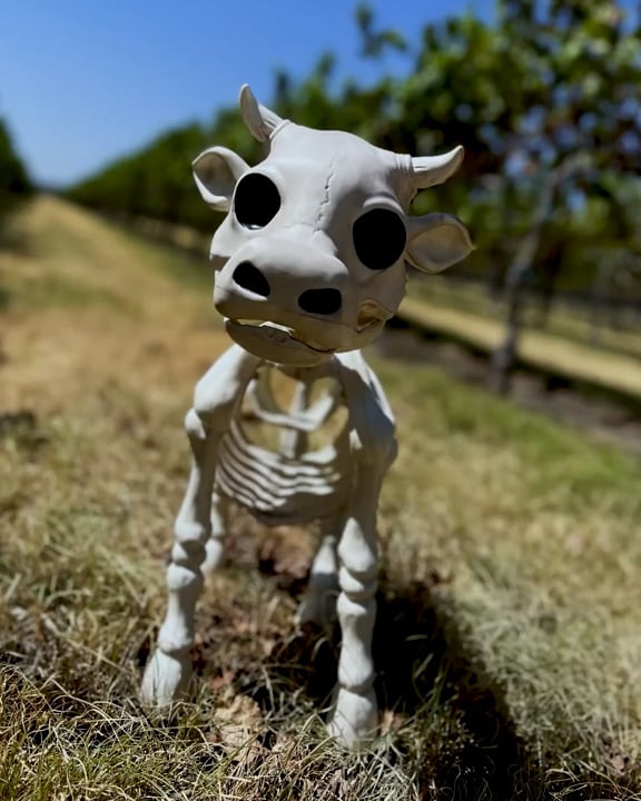 Halloween Sale -Cow & Horse Skeleton Halloween Decorative Prop